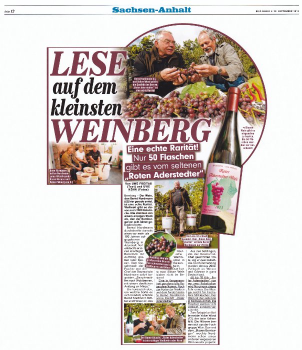 Pressebeitrag Bild Halle 'LESE auf dem kleinsten WEINBERG'